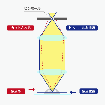 共焦点顕微鏡の仕組みのイメージ